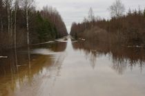 Пятый сезон в Соомаа