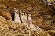 Саркофаги Карахии в Перу – памятник древней культуры Чачапойя